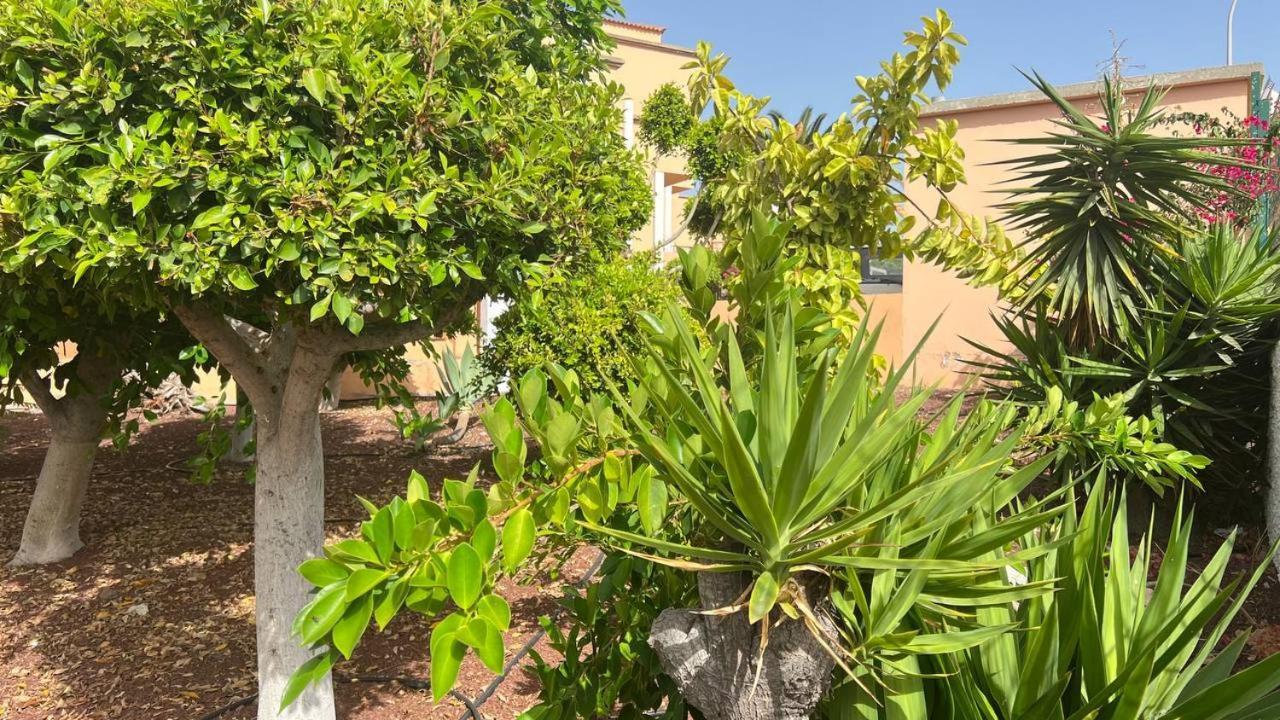 Ocean View Apartment In Orlando Costa Adeje  ภายนอก รูปภาพ